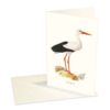 Kort Vit Stork