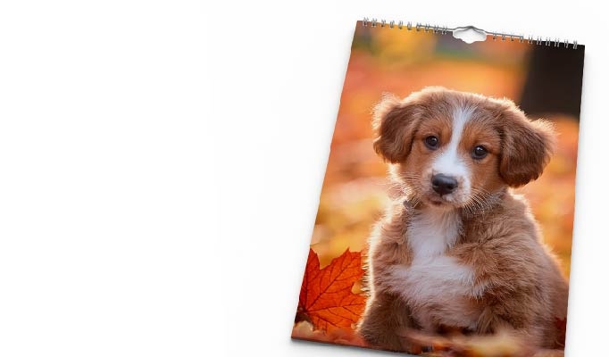 Fotokalender A4