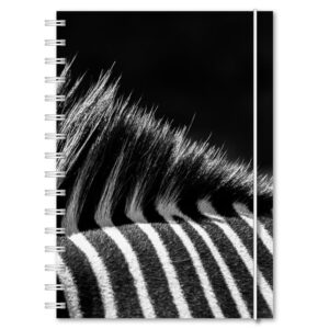 Personlig almanacka Zebra