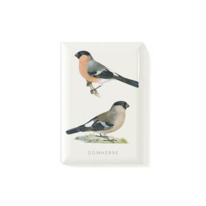 Magnet Domherre