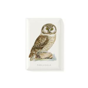 Magnet Pärluggla