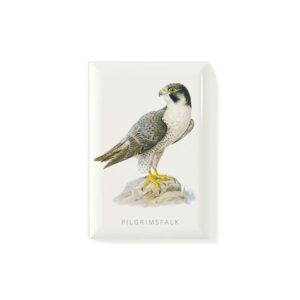Magnet Pilgrimsfalk