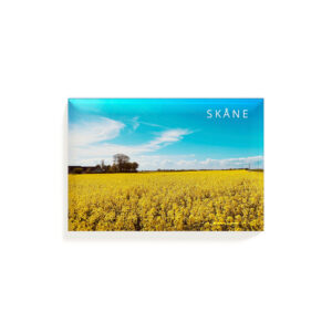 Magnet Skåne rapsfält