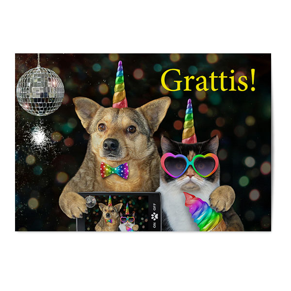 Vykort Grattis Roliga djur Vykort Grattis Roliga djur