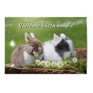 Vykort Världens bästa kompi
