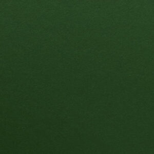 COLORPLAN LOCKWOOD GREEN A4 540g