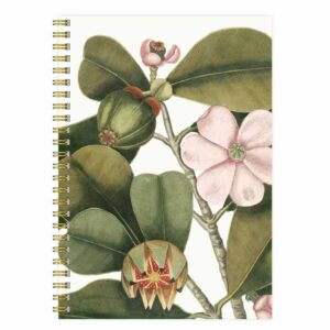 Anteckningsbok A5 Vintage Rosea framsida