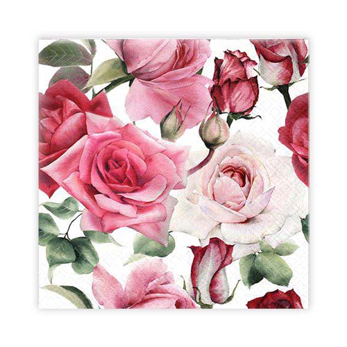 KAFFESERVETT 20P ROSEN