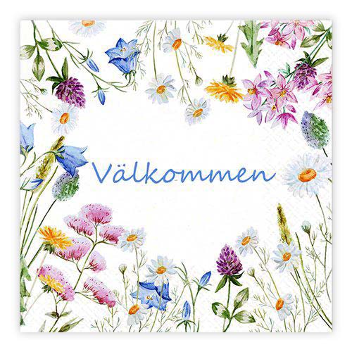 MATSERVETTER 20P VÄLKOMMEN MATSERVETTER 20P VÄLKOMMEN