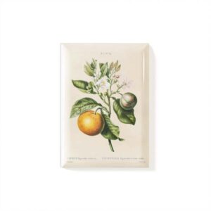 Magnet Citron Vintage