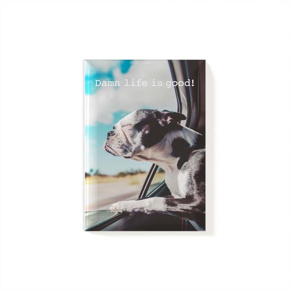 Magnet Dog 2 Magnet Dog 2