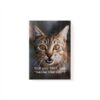Magnet Cat 2