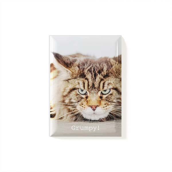 Magnet Cat 3