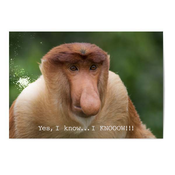 Vykort Yes I know Vykort Yes I know
