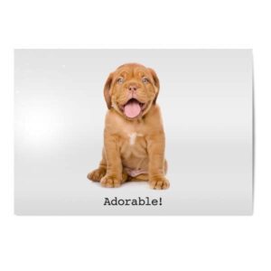 Vykort Adorable