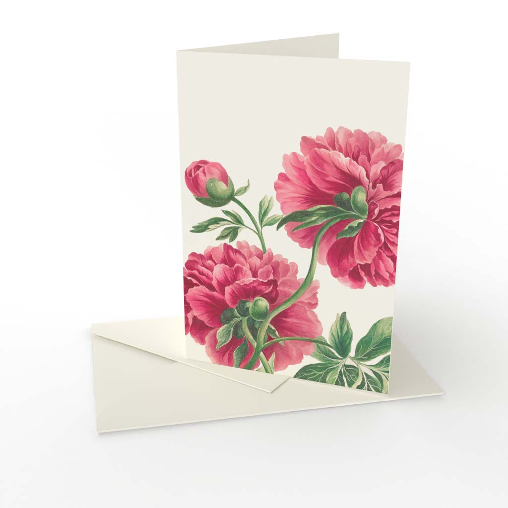 Kort vikt Pion rosa Kort vikt Pion rosa