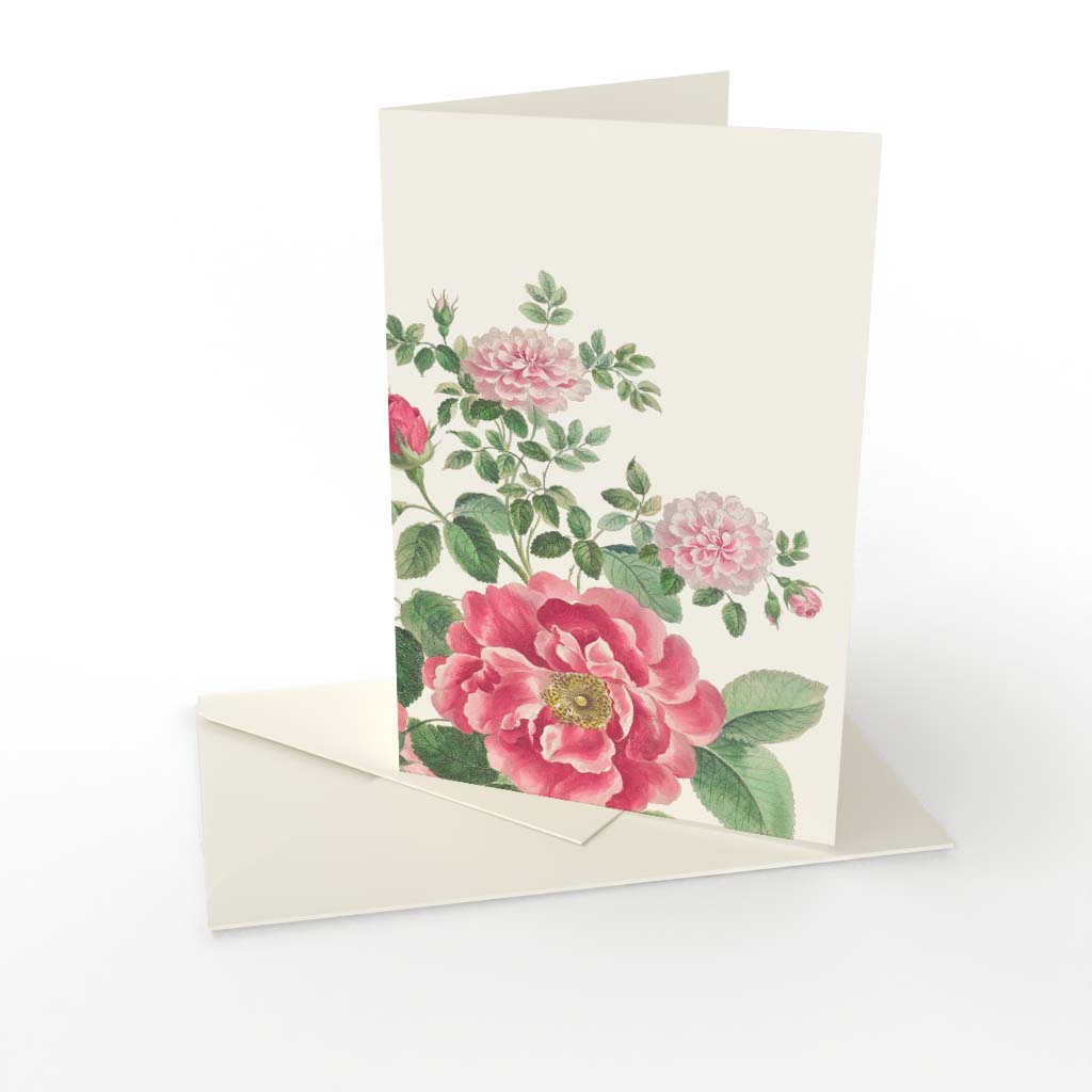 Kort vikt Ros Vintage rosa