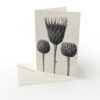 Kort vikt Karl Blossfeldt 3