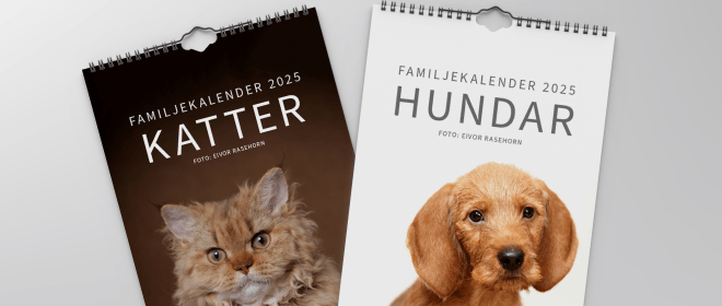 Katt & Hundkalender 2025 Blogg Kalenderspecialisten