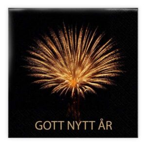 Matservetter 20p Gott Nytt år