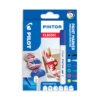 DIY pennor Pilot Pintor 6-pack
