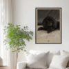 Fotoposter Hund 3 Vägg 1