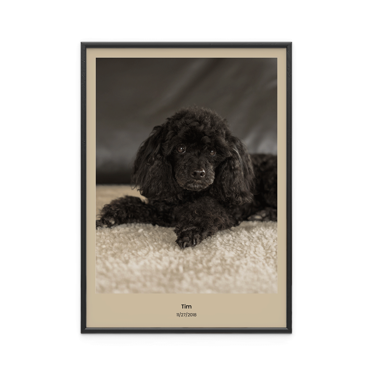 Fotoposter Hund 3 Fotoposter Hund 3