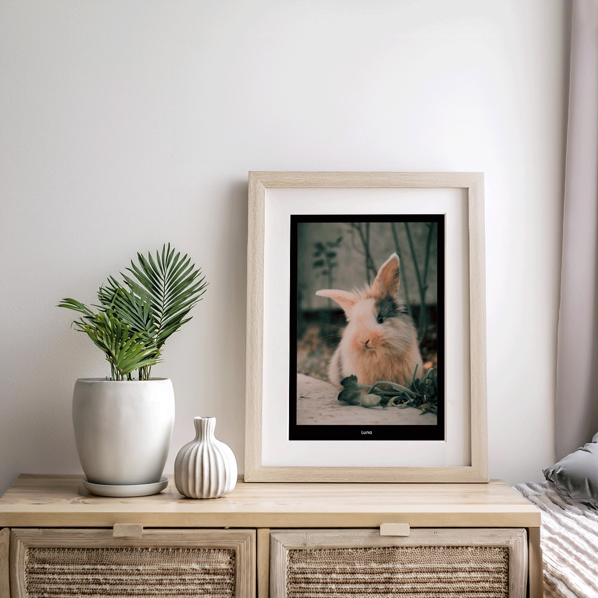 Fotoposter Kanin 1 Byrå
