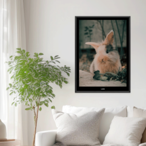 Fotoposter Kanin 1 Vägg 2