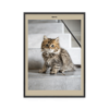 Fotoposter Katt 2