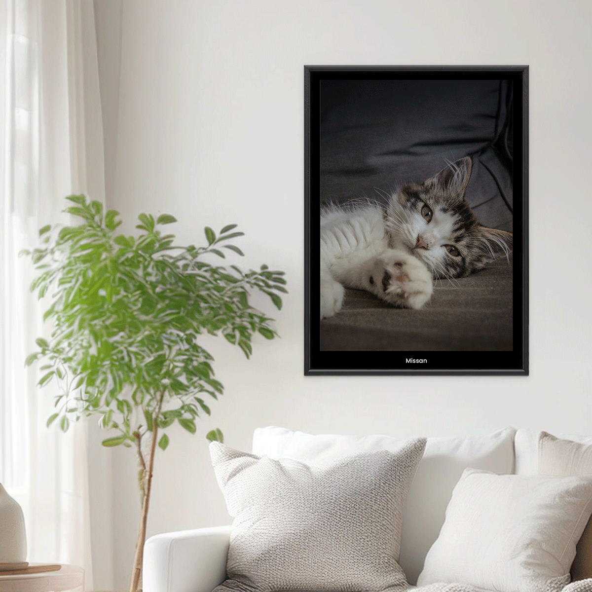 Fotoposter Katt 3 Vägg 3