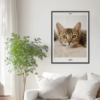 Fotoposter Katt 4 Vägg 3