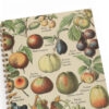 Anteckningsbok A5 Vintage Frukt 2