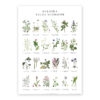 Poster Vilda blommor 50x70