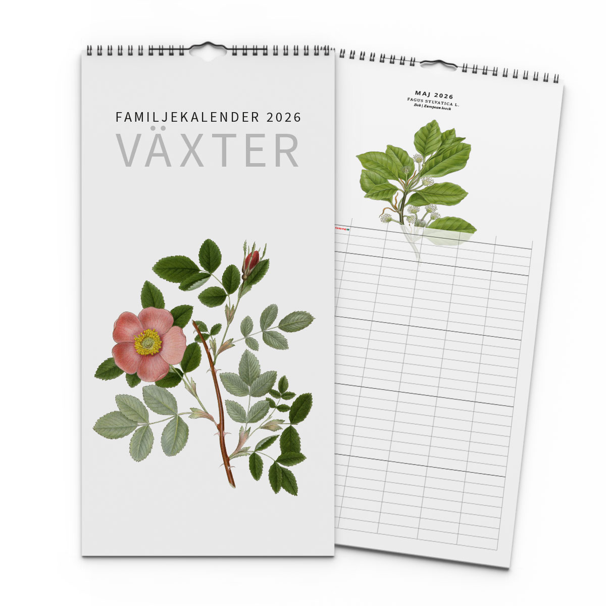 Familjekalender Växter 2026