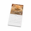 Väggkalender Grumpy Cats Mini 2026 uppslag