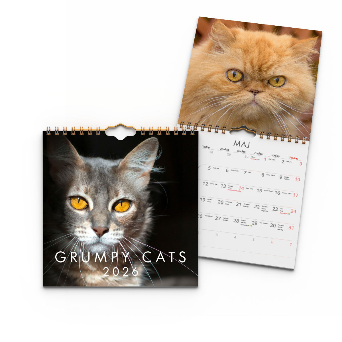 Väggkalender Grumpy Cats Mini 2026