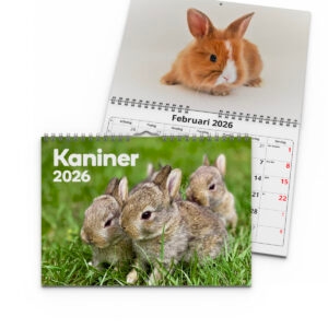Väggkalender Kaniner Small 2026