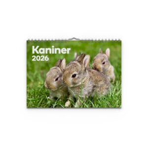 Väggkalender Kaniner Small 2026 omslag