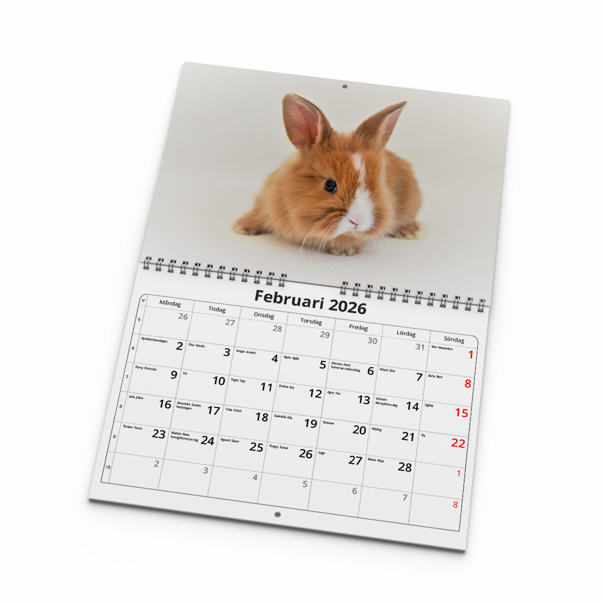 Väggkalender Kaniner Small 2026 uppslag