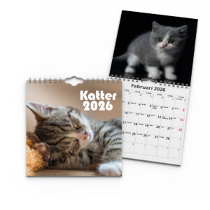 Väggkalender Katter Mini 2026