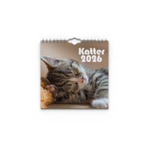 Väggkalender Katter Mini 2026 omslag