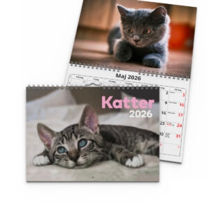 Väggkalender Katter Small 2026