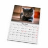 Väggkalender Katter Small 2026 uppslag