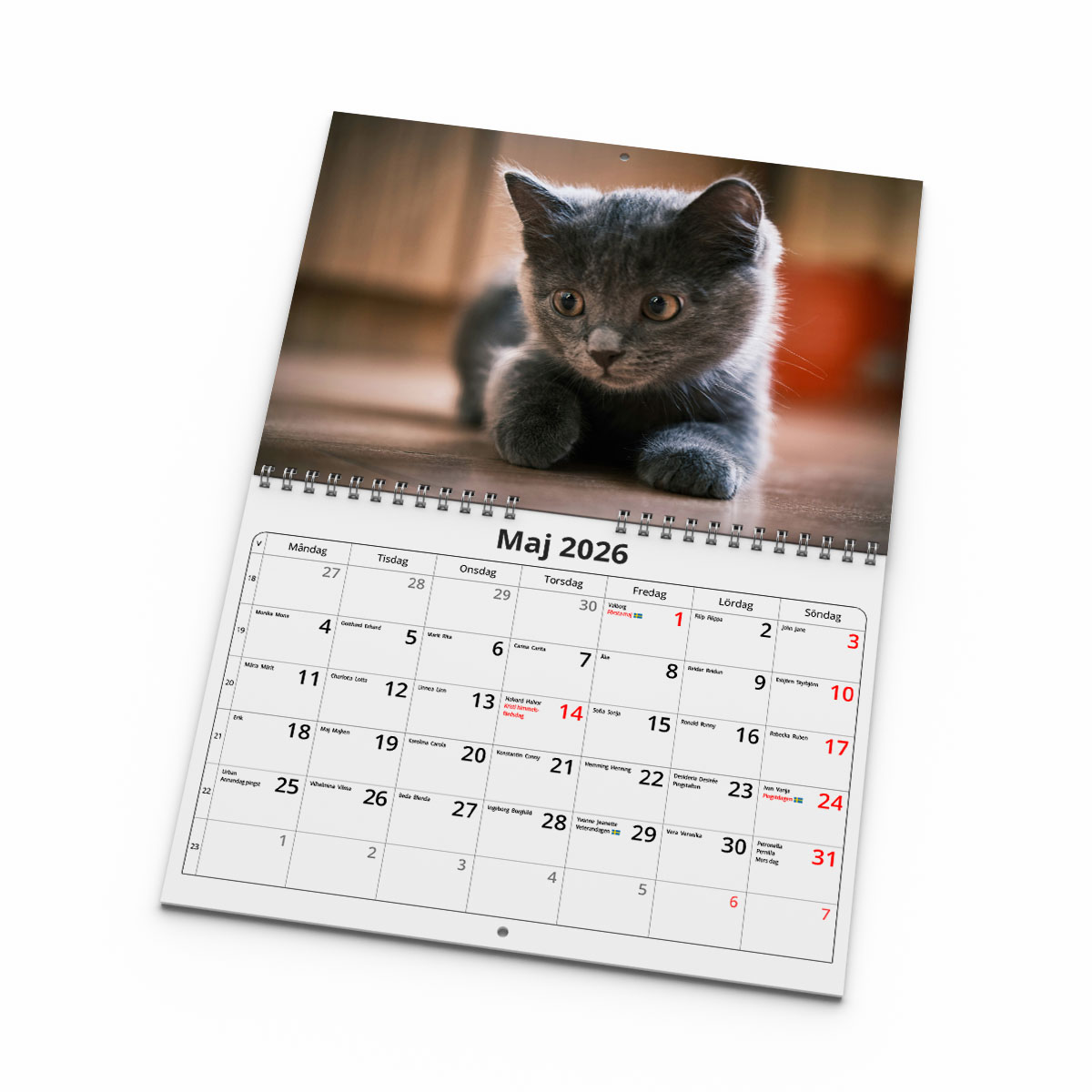 Väggkalender Katter Small 2026 uppslag