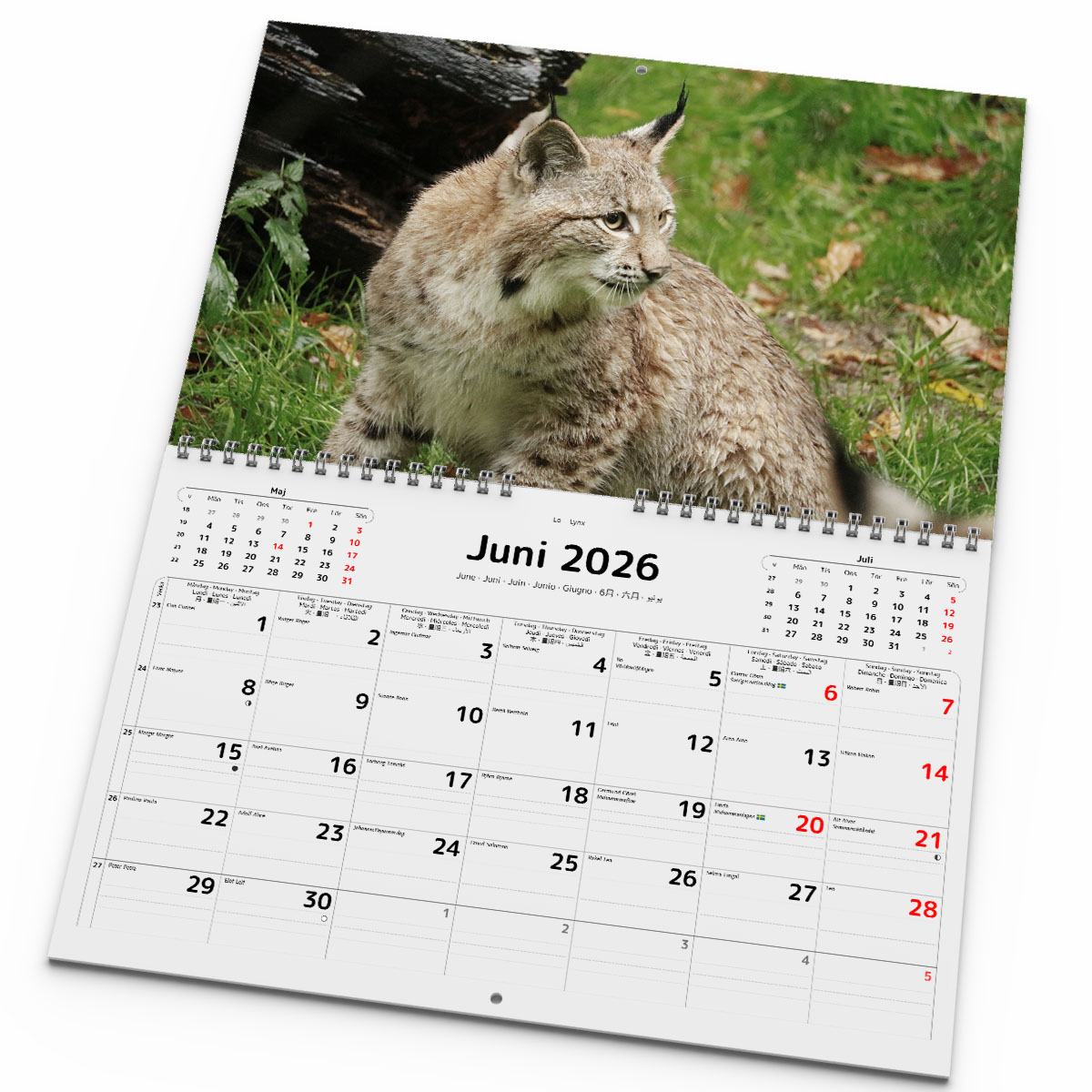 Väggkalender Levande Skog 2026 uppslag