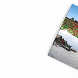 Gotland