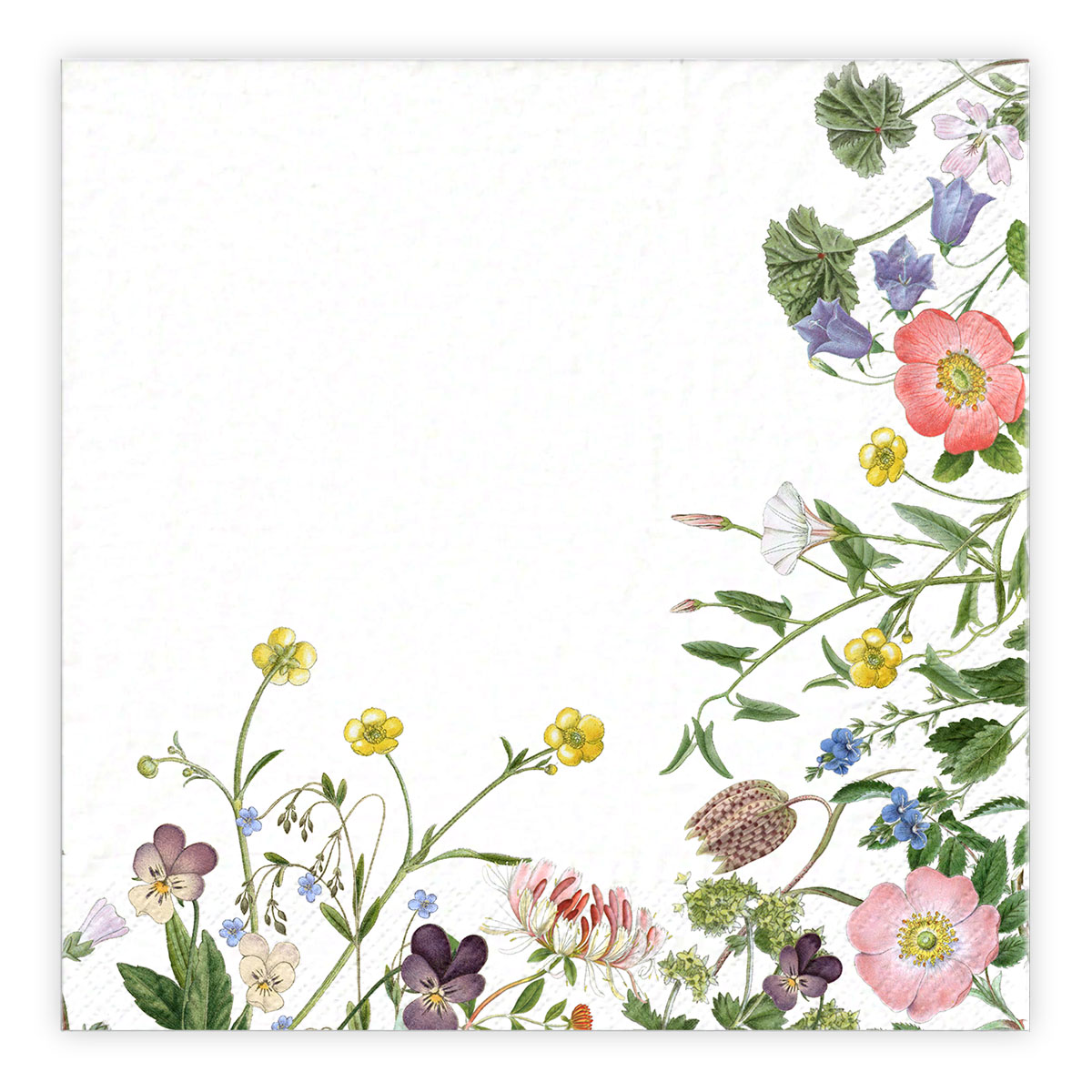 Matservetter 20p-Wildflower 2000-1116-90 Matservetter 20p-Wildflower 2000-1116-90