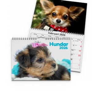 Väggkalender Hundar Small 2026