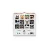 Väggkalender Grumpy Cats Mini 2027 baksida